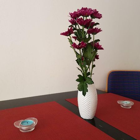 Apartament Diara シビウ エクステリア 写真