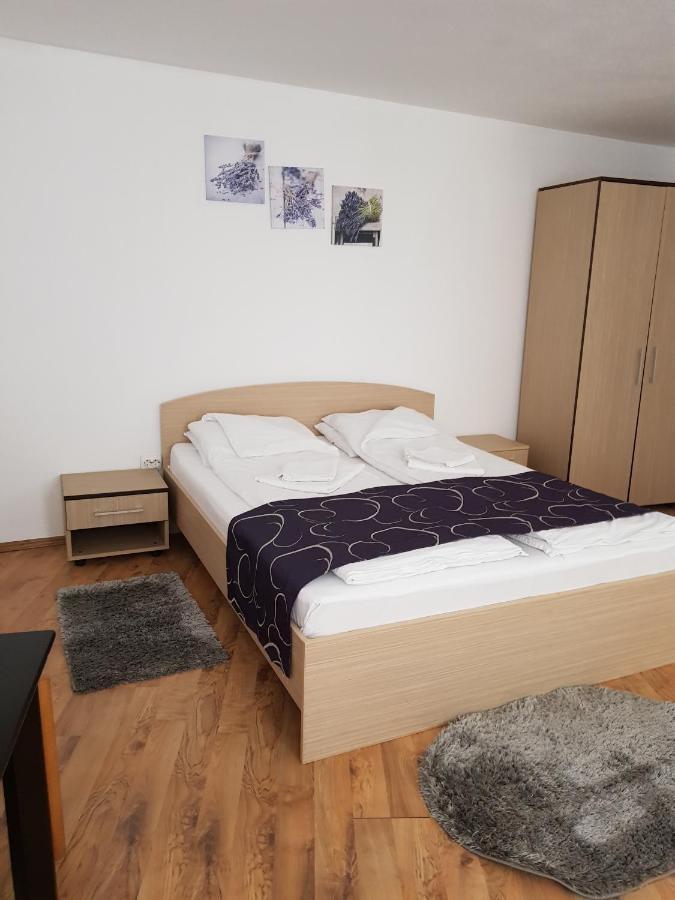 Apartament Diara シビウ エクステリア 写真