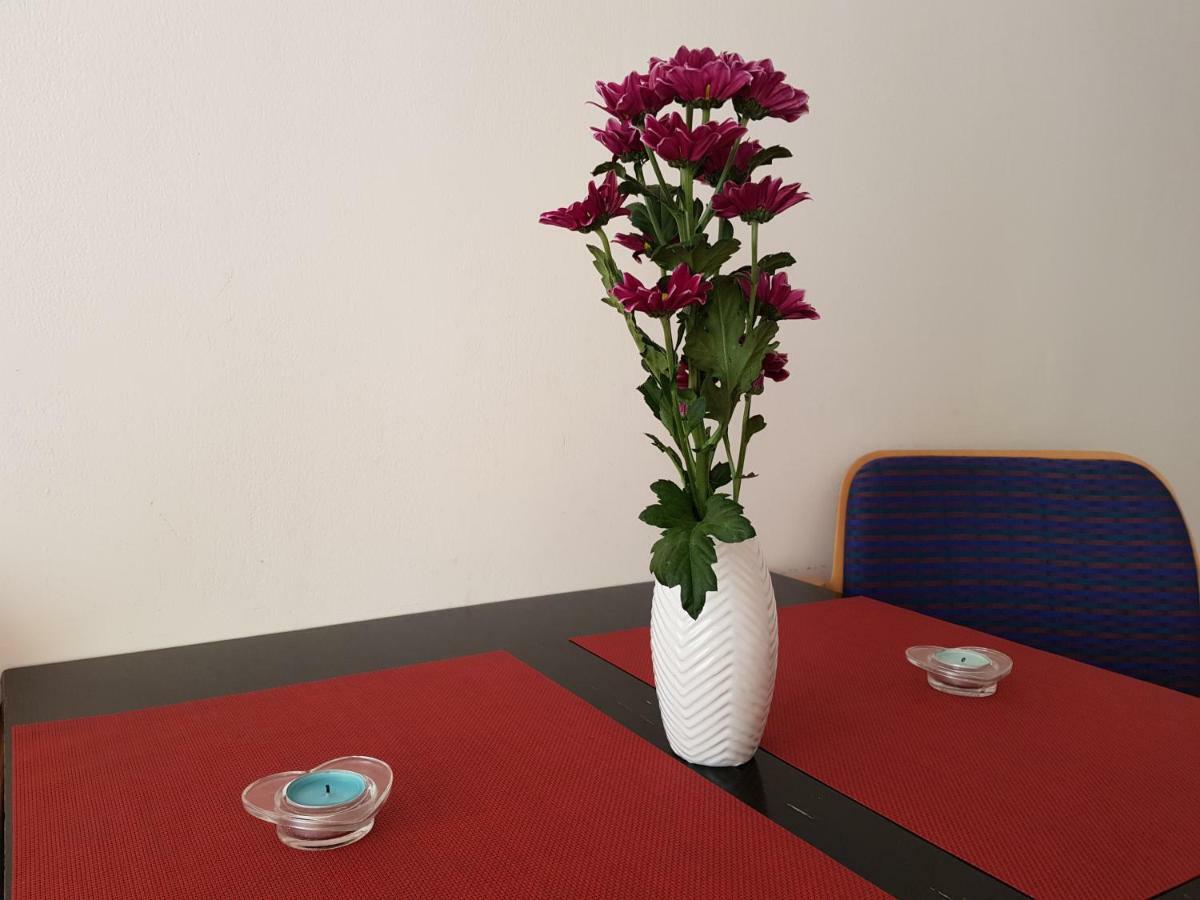 Apartament Diara シビウ エクステリア 写真